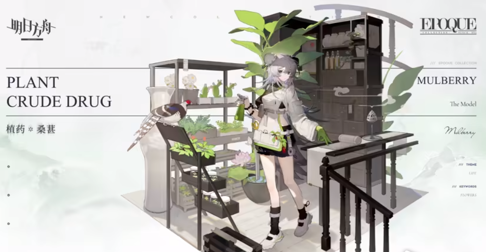 《明日方舟》桑葚皮肤植药怎么样？