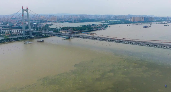 洞庭湖全线退出警戒水位，洞庭湖看海模式即将过去