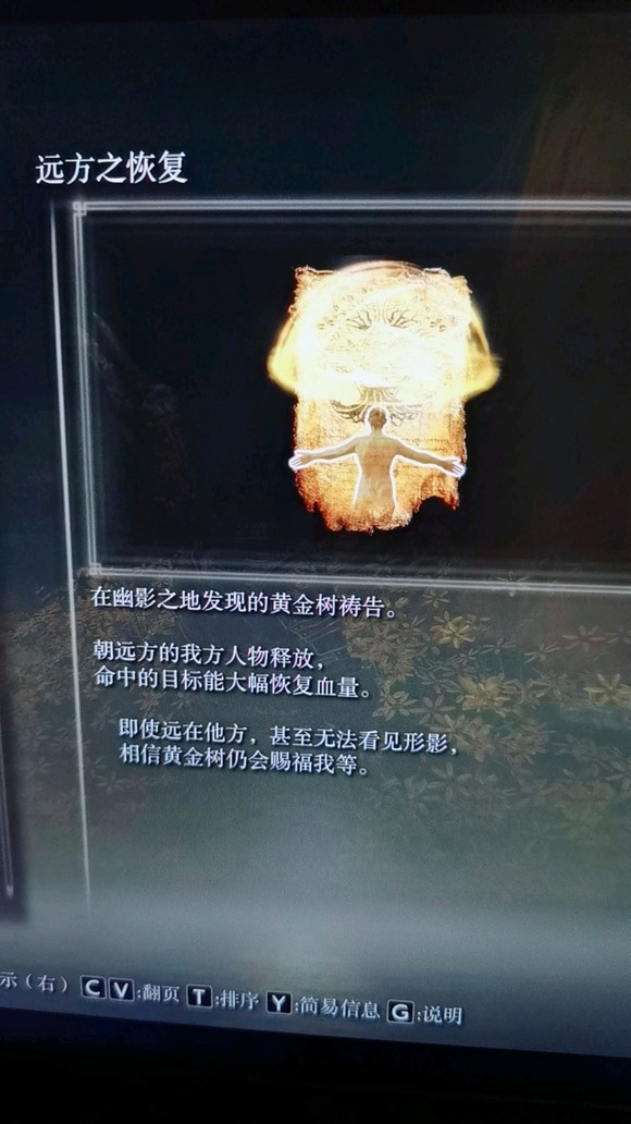 《艾尔登法环》dlc远方之恢复获得方法