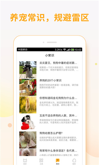 猫狗翻译app2